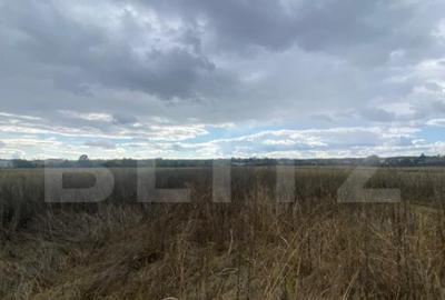 Teren extravilan, 2500 mp, zona Lucieni - 2