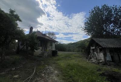 Casă cu 4 camere în Central - 4