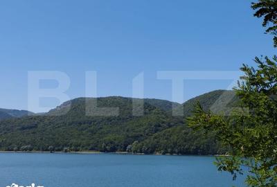 Teren de 20720 mp, în Teliucu Inferior - 2