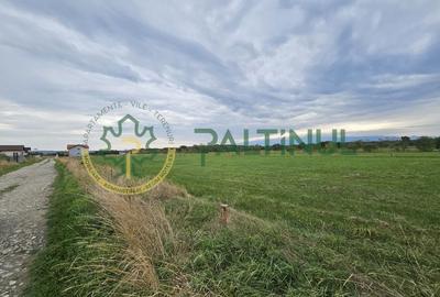 Teren intravilan in cartierul arhitectilor, Sibiu - 10