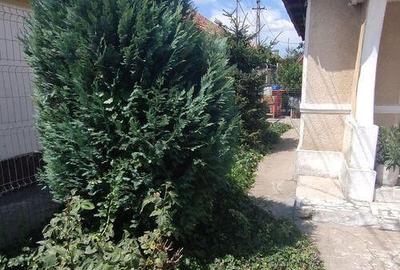 Casa locuibila Km5 - 6