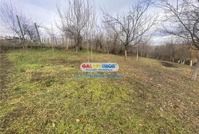 Vanzare casa Baicoi Prahova zona Dambu - 3