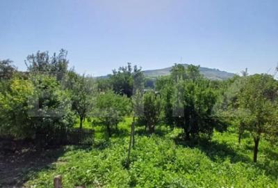 Casă cu 4 camere cu Teren 1860 Mp în Câmpia Turzii - 9