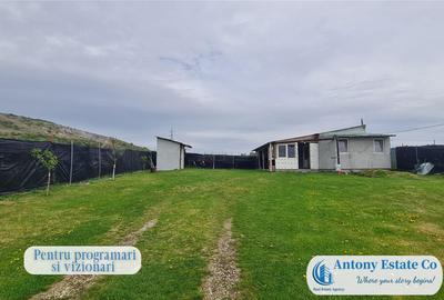 Green Field - casa de , 10 KM de Oradea, Betfia, Bihor - 8