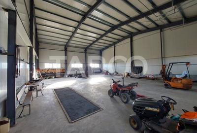 Hala industriala cu teren de 12000 mp Bradu Sibiu - 3