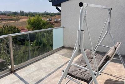 Metalurgiei Drumul Binelui vila Parter+1+M mobilata utilata - 2