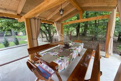 Vila  Frumoasa , Sibiu ,6 camere , 5 Bai , mobilata ,utilata - 25