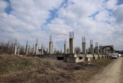 Teren Construcții intravilan de 6900 mp, în Șcheia - 18