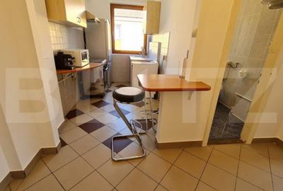 Apartament cu 2 camere decomandat în Gara Mare - 9