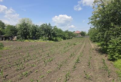 Casă individuală cu 3 camere cu Teren 2100 Mp în Dor Mărunt - 15