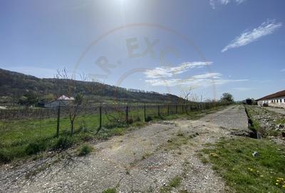 Teren intravilan cu grajduri si anexe – Aninoasa AG - 3