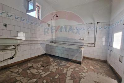 Casă cu 6 camere cu Canalizare în Mihail Kogălniceanu - 20