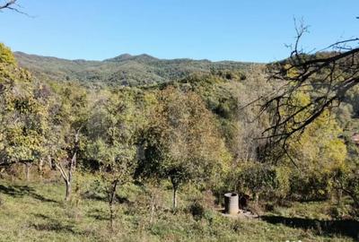 Teren de 2406 mp, în Central - 12