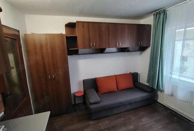 Garsonieră nedecomandată în Nufărul - 2