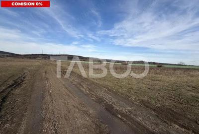 Teren de 1440 mp, în Central - 3