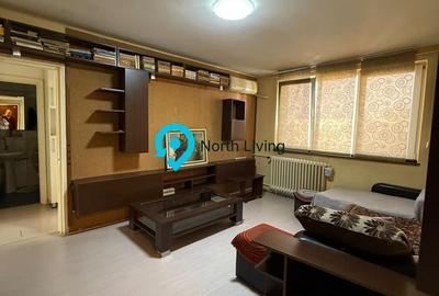 Apartament cu 3 camere semidecomandat în Ozana - 12