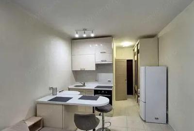 Garsonieră decomandată în Moșilor - 1