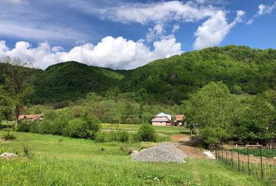 Teren de 1200 mp, în Bistra Mureșului - 3