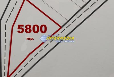 Teren Construcții intravilan de 5800 mp, în Lipoveni - 1