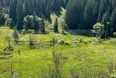 Teren de 6941 mp, în Central - 3