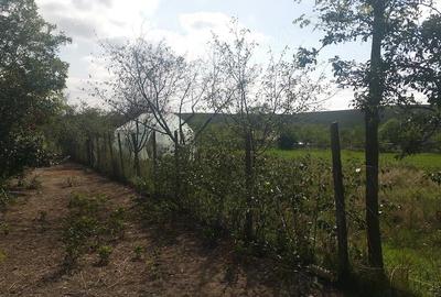 Casă cu 3 camere cu Teren 8000 Mp în Stuhuleț - 6