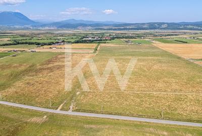 Teren : 2.000 mp in Glajerie, Rasnov, parcelat - comision 0% pentru cumparator! - 1