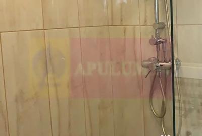 Apartament cu 2 camere decomandat în Tineretului