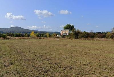 Teren Construcții intravilan de 12300 mp, în Sud - 2