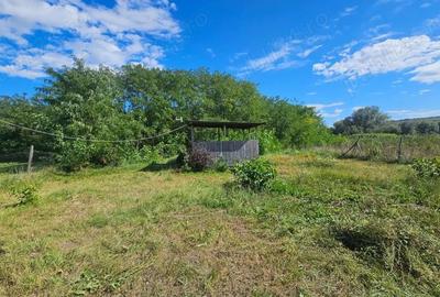 Teren de 2300 mp, în Borșa - 1