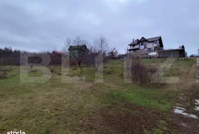 Teren de 2618 mp, în Strugurilor - 1