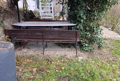 Casă cu 1 camere cu Teren 1100 Mp în Viișoara - 3