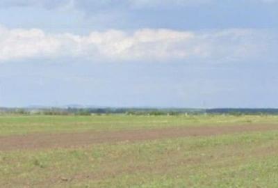 Teren extravilan Cocorastii Colt ; ID: R2710069 - 8