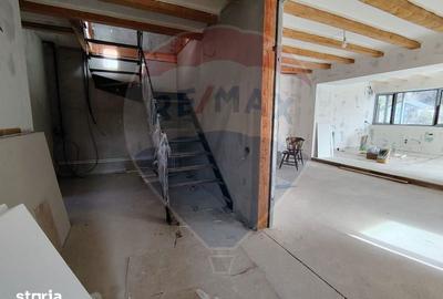 Casă cu 5 camere cu Teren 4000 Mp în Răzvad - 9