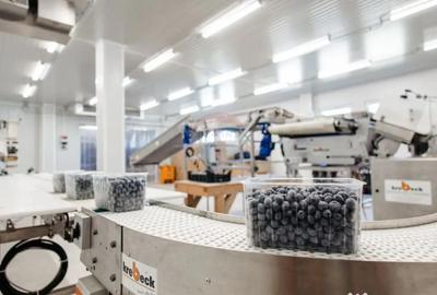 Teren de 27720 mp, în Vest - 13