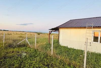 Teren de 6666 mp, în Alioș - 13