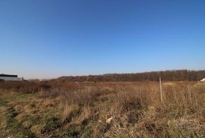 Teren dezvoltare 4763 pe malul Lacului Mogosoaia deschidere 40 metri - 7