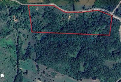 Teren de 64500 mp, în Vadu Crișului - 1