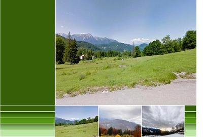 Teren Intravilan 80.000mp 3 Brazi,Predeal Comision 0 - 4