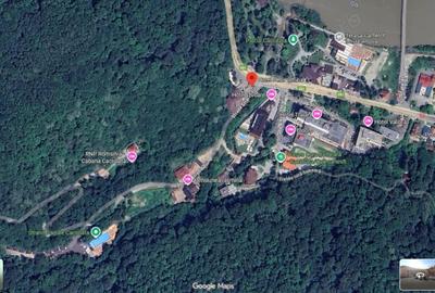 Teren pentru constructii PADURE. Vanzare Colaborare - Inchiriere - 2