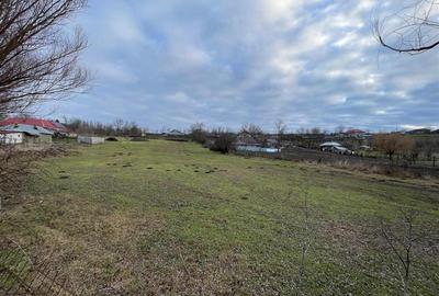 Teren Construcții intravilan de 4931 mp, în Frecăței - 8