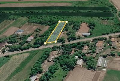 Teren de 900 mp, în Nuci - 10