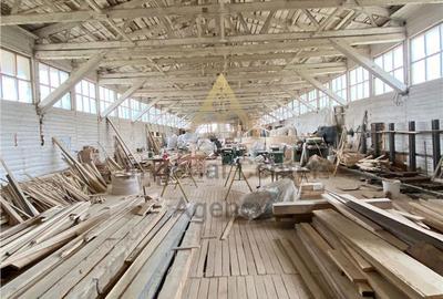 Teren de 5000 mp, în Agăș - 1