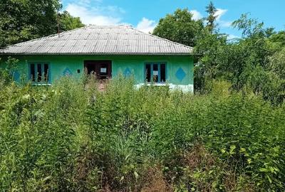 Casă cu 3 camere cu Teren 3000 Mp în Drăgușeni - 1