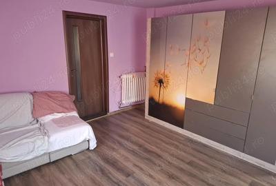 Casă cu 5 camere cu Teren 200000 Mp în Șerel - 10