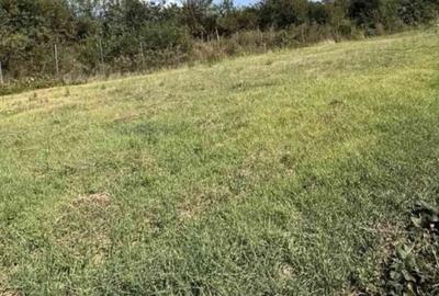 Spațiu comercial, în Rogerius - 1