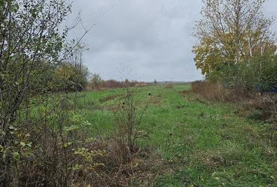 Teren de 18469 mp, în Butimanu - 4