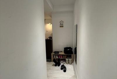 Apartament cu 2 camere decomandat în Albert - 4