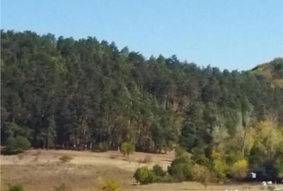 Teren de 900 mp, în Sânpetru - 4