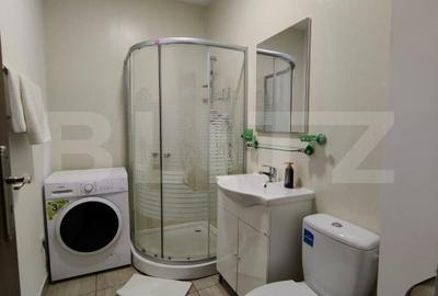 Apartament cu 2 camere semidecomandat în Bariera Vâlcii - 5
