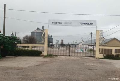 Teren de 3846 mp, în Topraisar - 6
